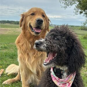 Meet your Posher, Amy